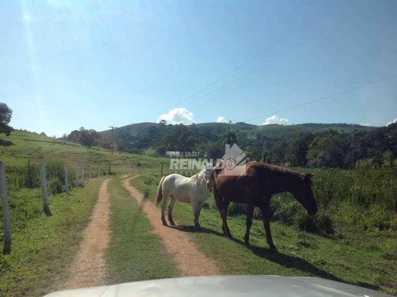 Fazenda à venda com 3 quartos, 250m² - Foto 4