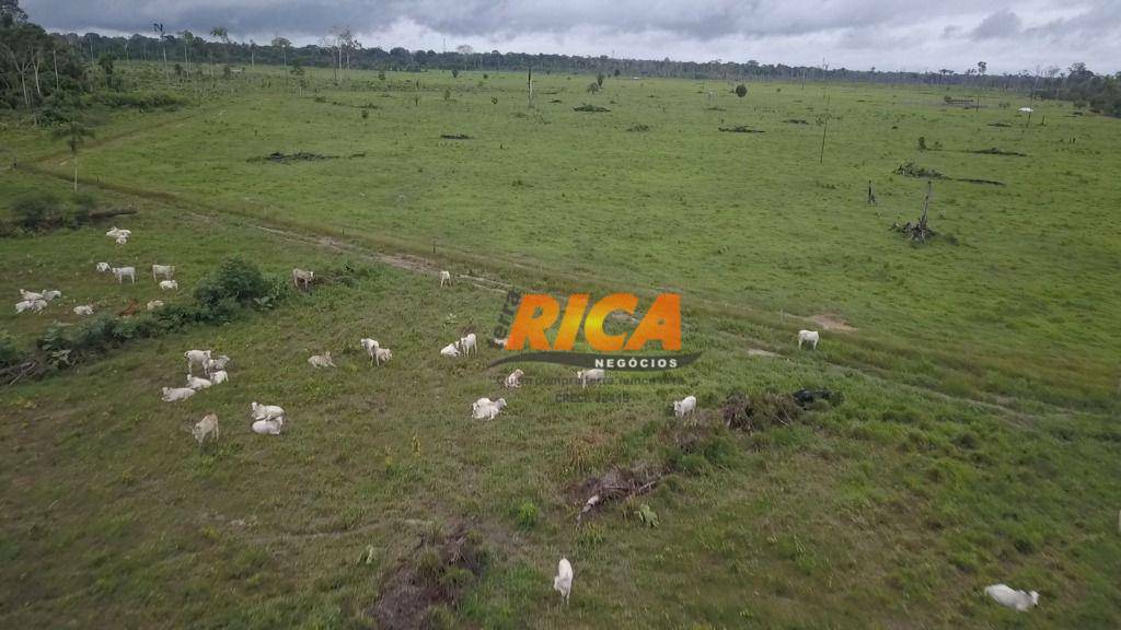 Fazenda à venda com 3 quartos, 5280000M2 - Foto 15