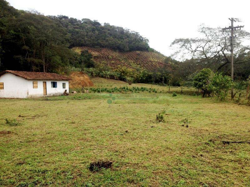 Fazenda à venda com 4 quartos, 240m² - Foto 4