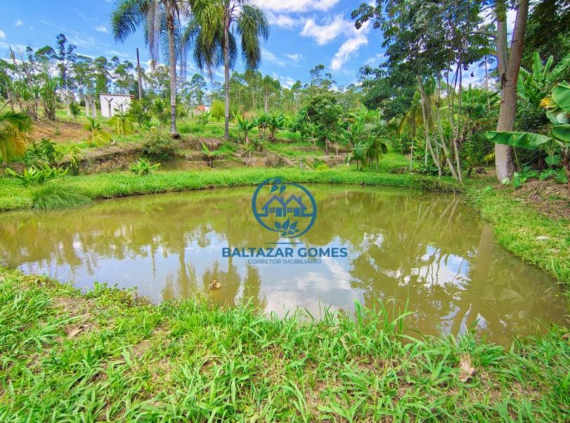 Fazenda à venda com 4 quartos, 10000m² - Foto 3