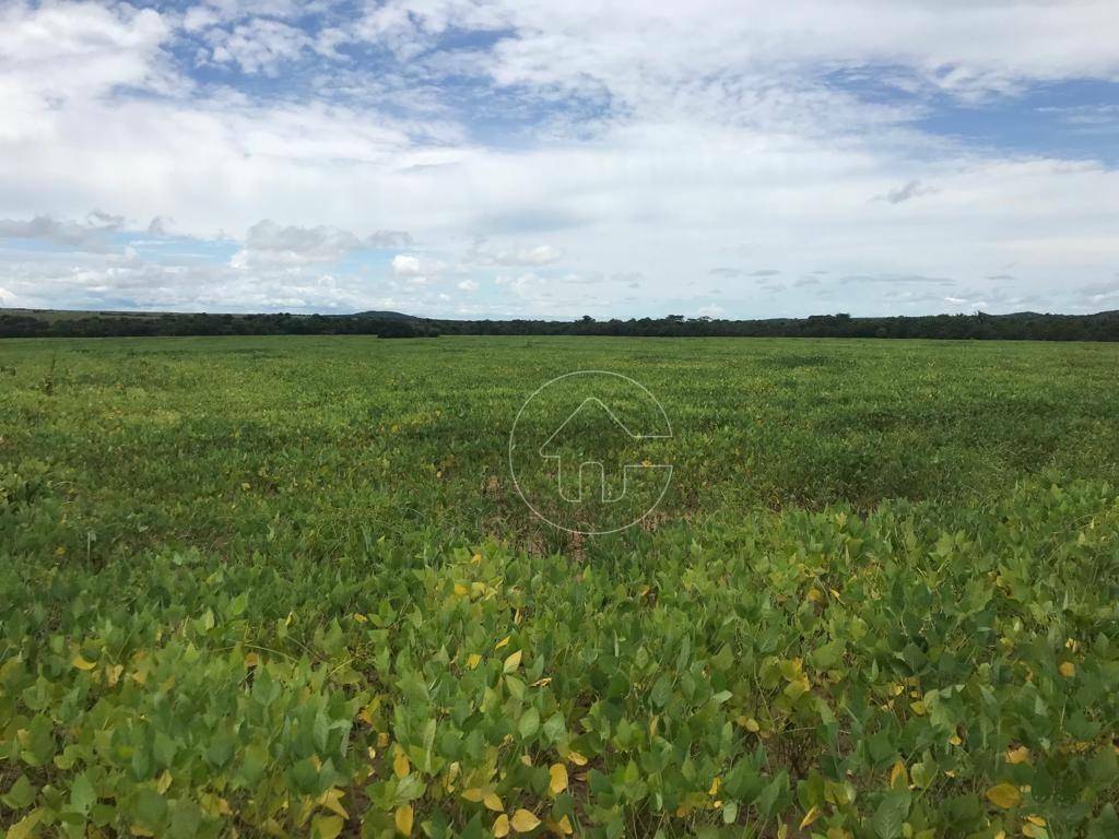 Fazenda à venda, 5000000M2 - Foto 28