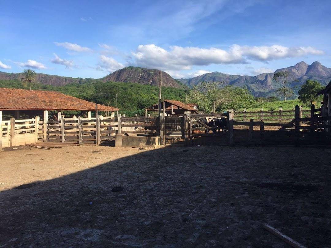 Fazenda à venda, 5469200M2 - Foto 73