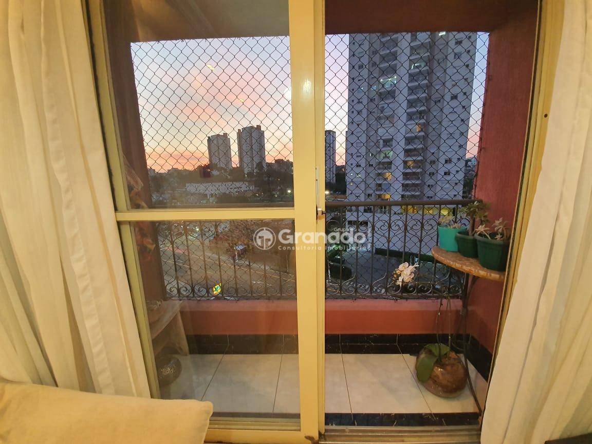 Apartamento à venda com 3 quartos, 65m² - Foto 16