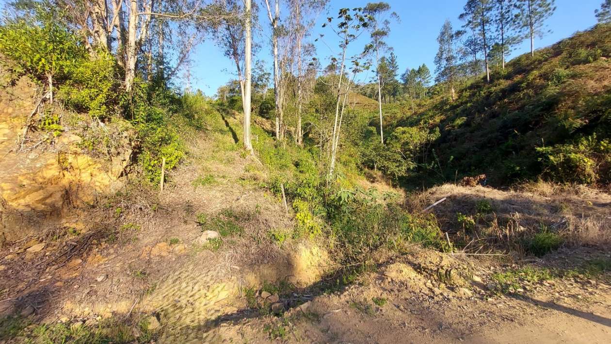 Sítio, 13 hectares - Foto 4