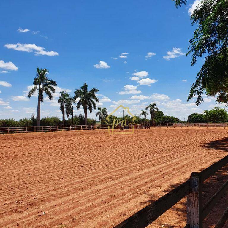 Haras e Área Rural Padrão à venda com 4 quartos, 1000m² - Foto 14