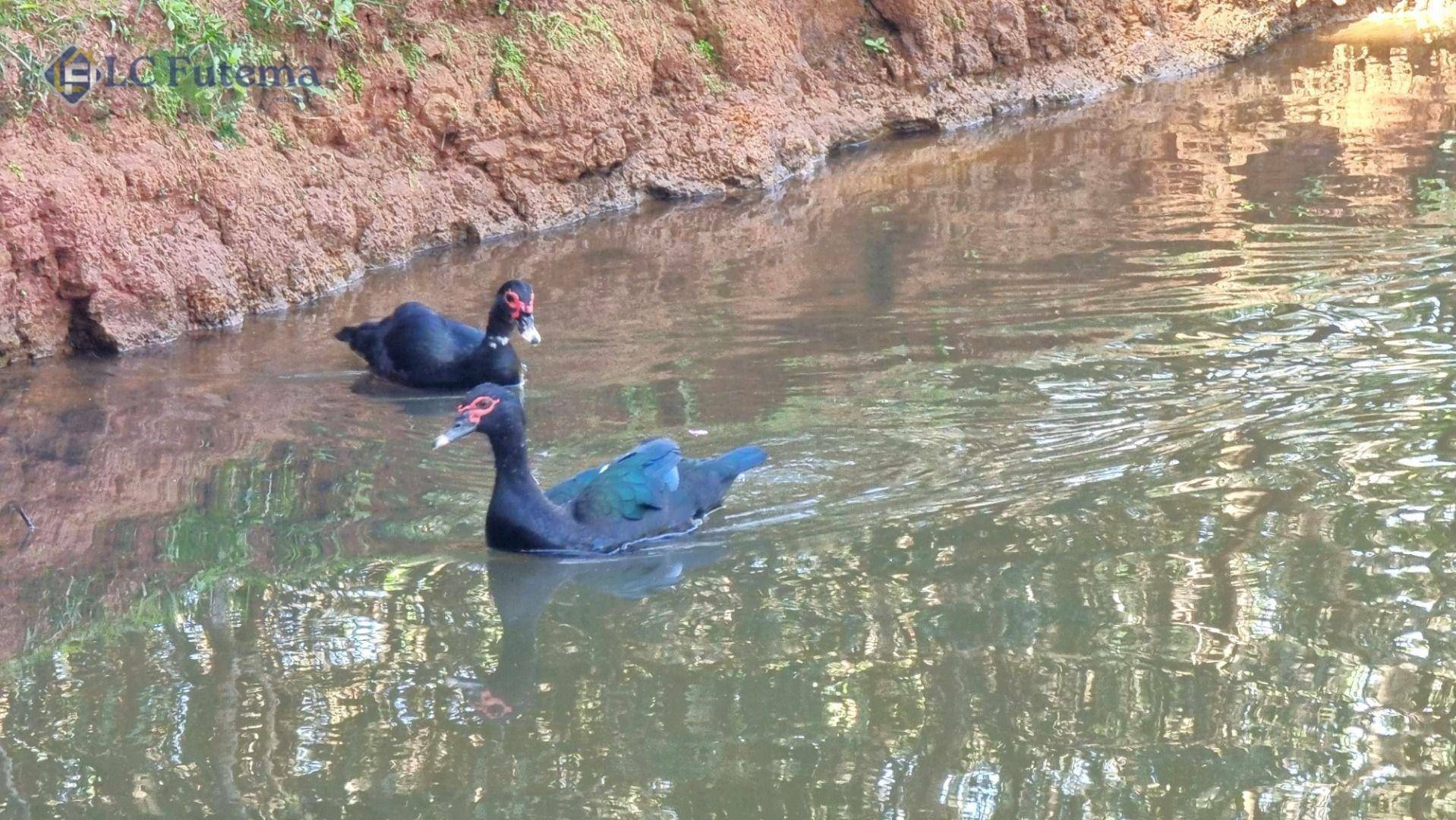 Loteamento e Condomínio à venda, 500M2 - Foto 15