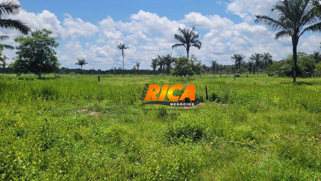 Fazenda, 300 hectares - Foto 18