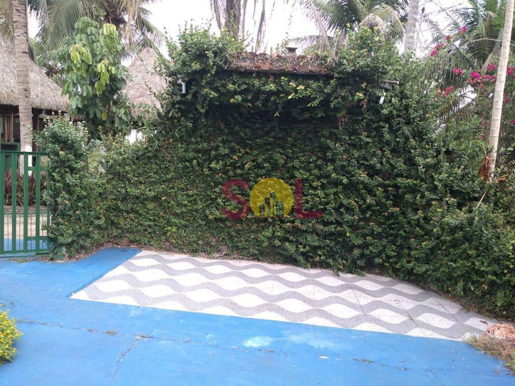 Sítio, 20 hectares - Foto 14