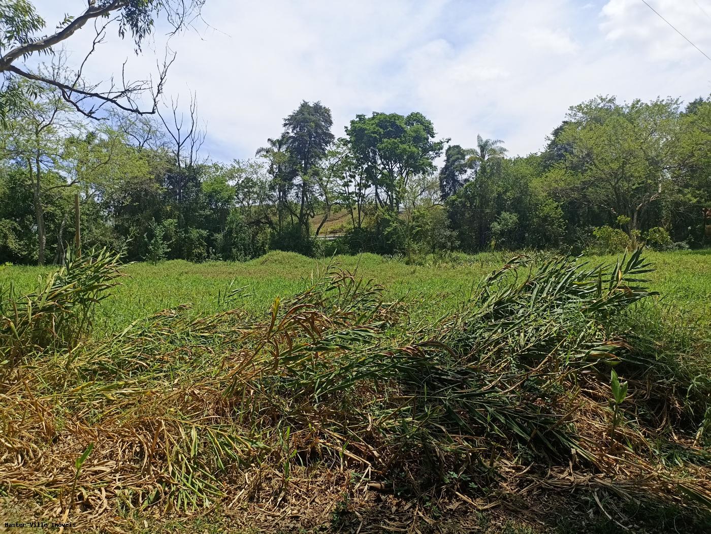 Fazenda à venda com 3 quartos, 11000m² - Foto 11