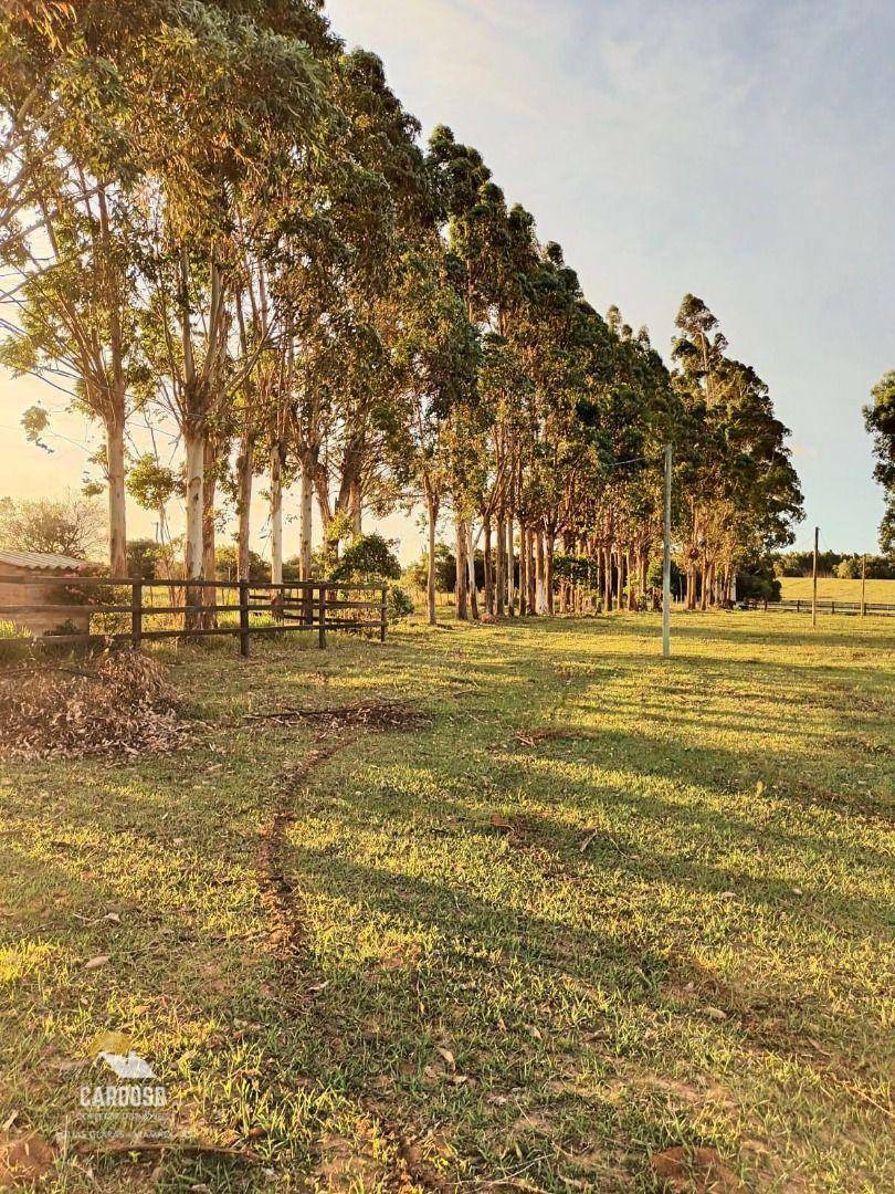 Haras e Área Rural Padrão à venda, 20000M2 - Foto 6