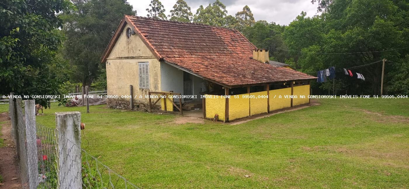 Fazenda à venda com 4 quartos, 130000m² - Foto 23