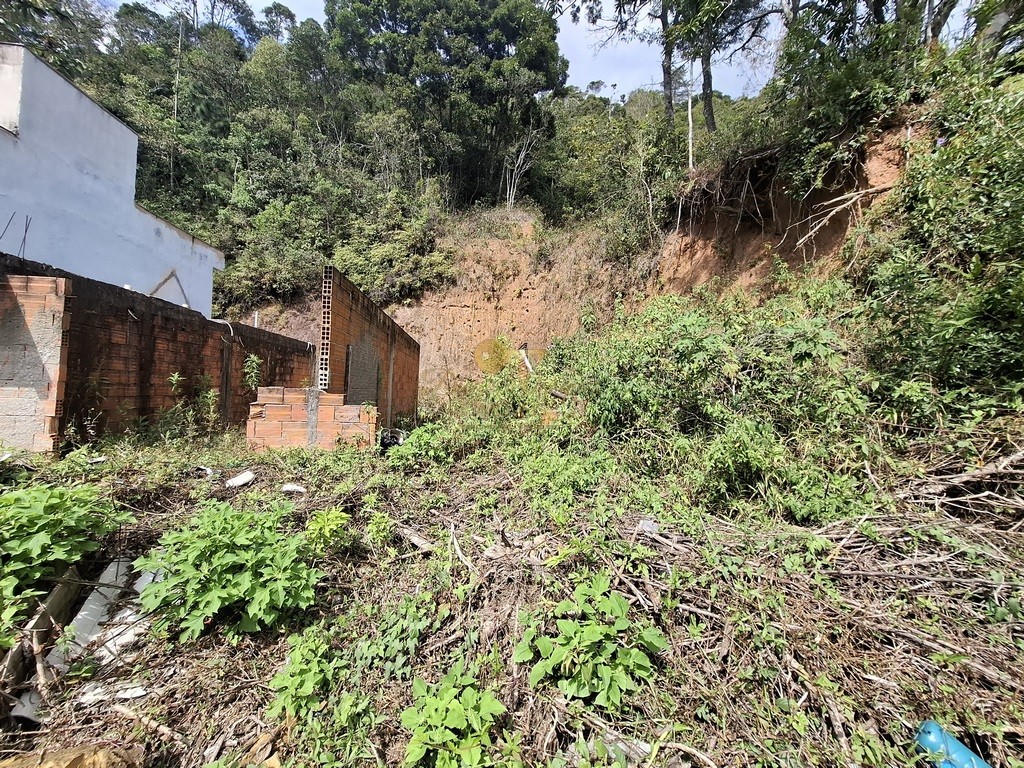 Casa à venda com 4 quartos, 2720m² - Foto 50