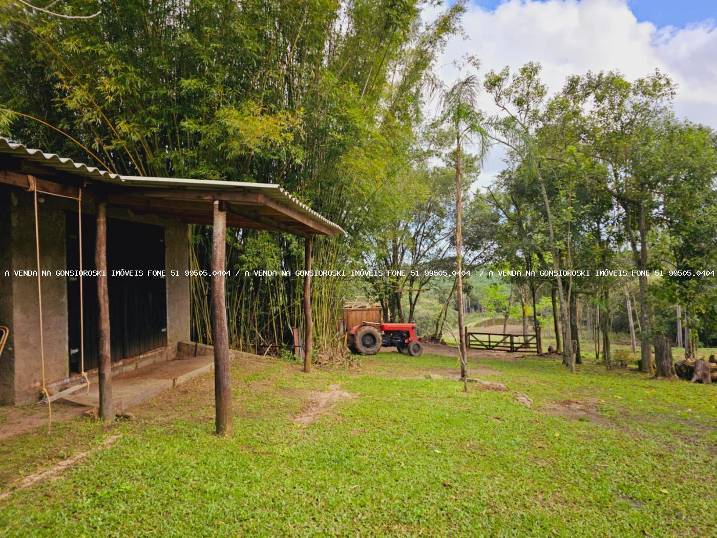 Sítio à venda, 30000m² - Foto 3