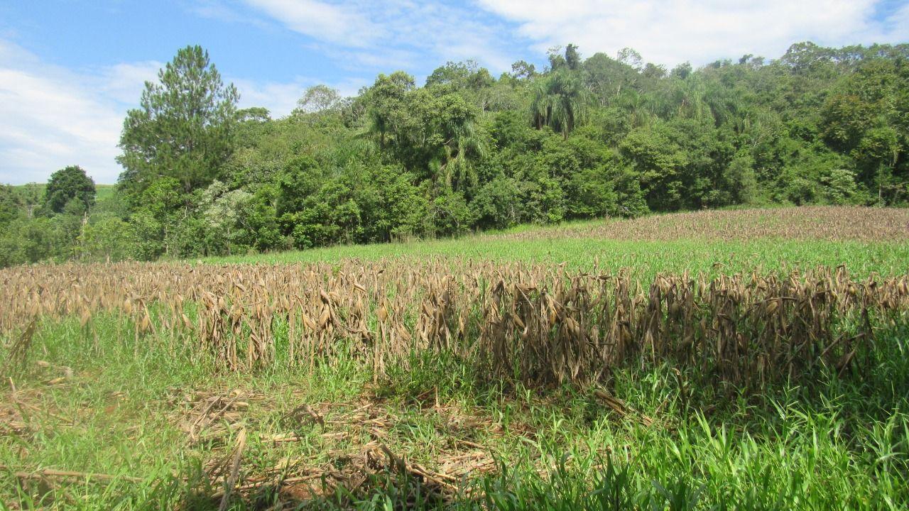 Loteamento e Condomínio à venda, 120000m² - Foto 23