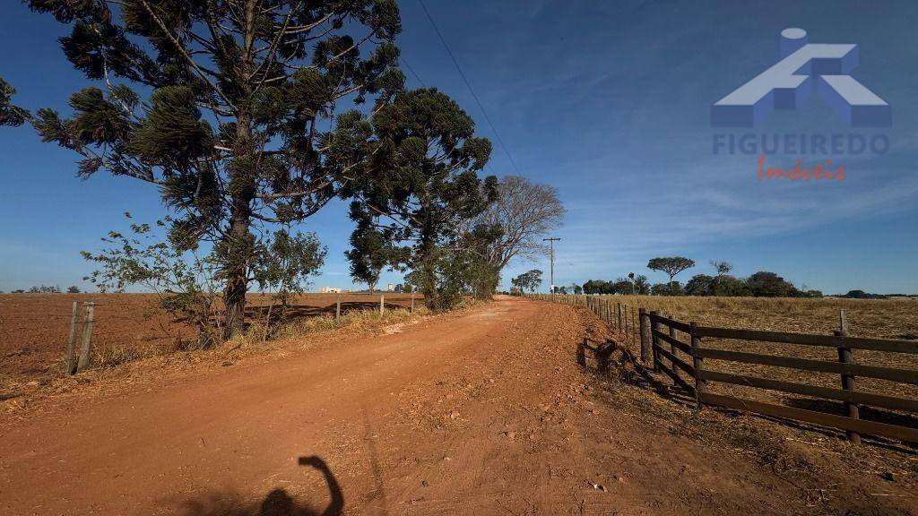 Sítio, 7 hectares - Foto 6