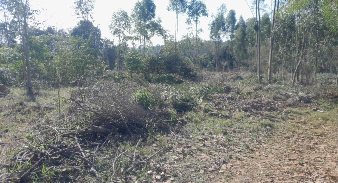Chácara à venda, 5000m² - Foto 2