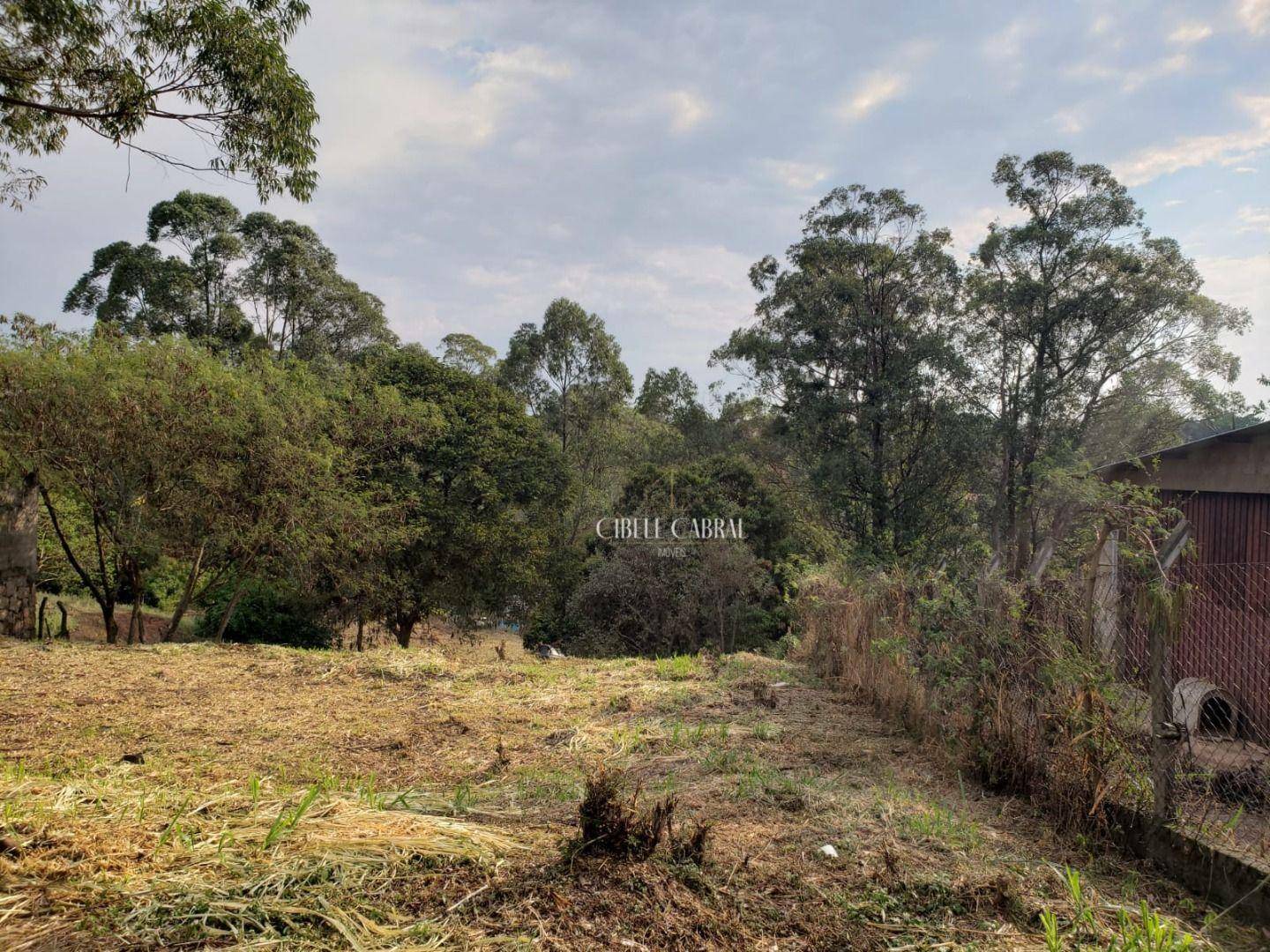 Terreno à venda, 2015M2 - Foto 5