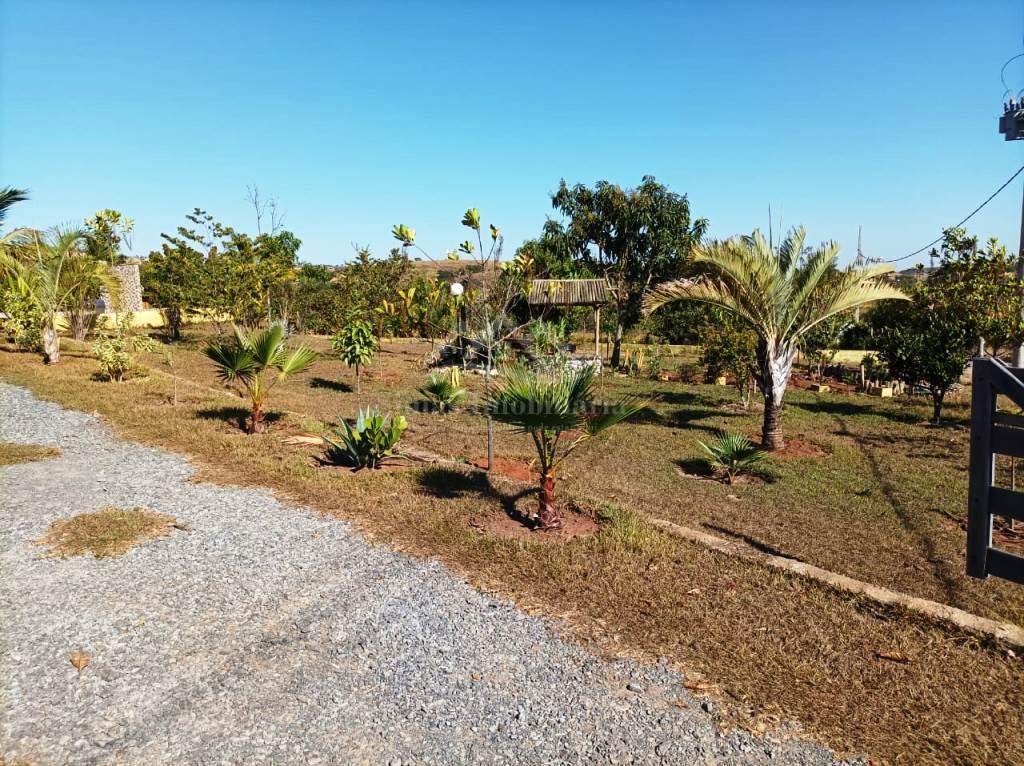 Fazenda à venda com 6 quartos, 2400m² - Foto 5