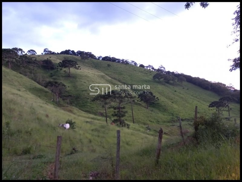 Fazenda-Sítio-Chácara, 18 hectares - Foto 1