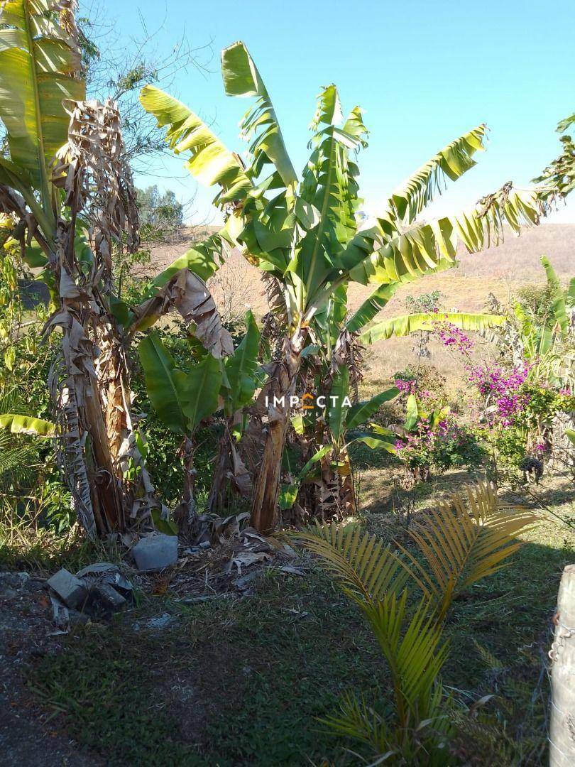 Chácara à venda com 2 quartos, 4000M2 - Foto 8