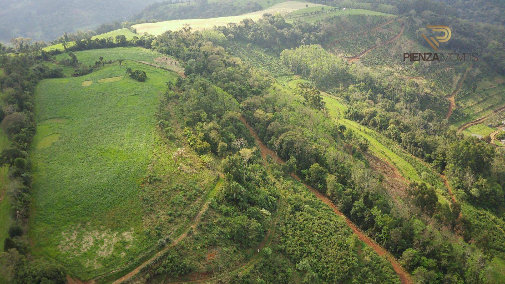 Terreno, 22 hectares - Foto 3