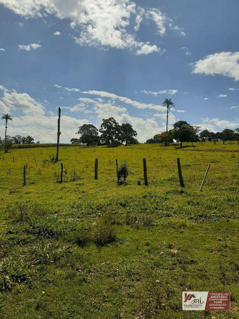 Sítio à venda com 3 quartos, 6000M2 - Foto 12