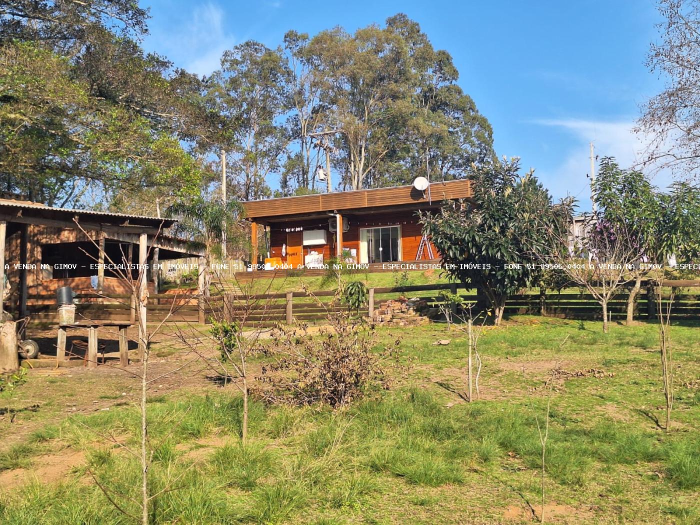 Fazenda à venda com 4 quartos, 80000m² - Foto 4