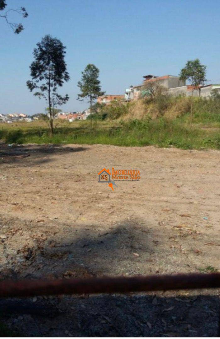 Terreno, 5 hectares - Foto 5