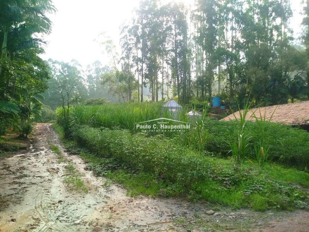Sítio à venda com 4 quartos, 15000M2 - Foto 18