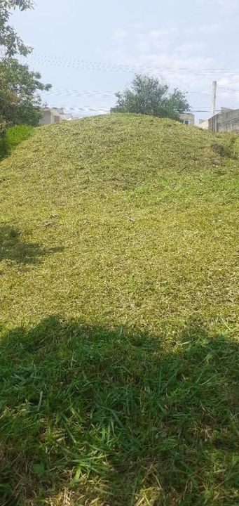 Terreno, 479 m² - Foto 4