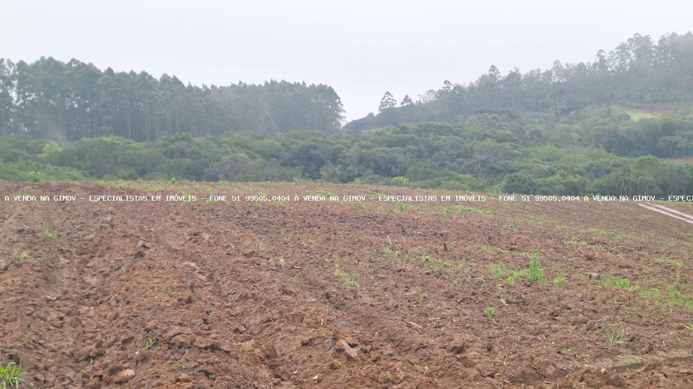 Fazenda à venda com 2 quartos, 141000m² - Foto 23