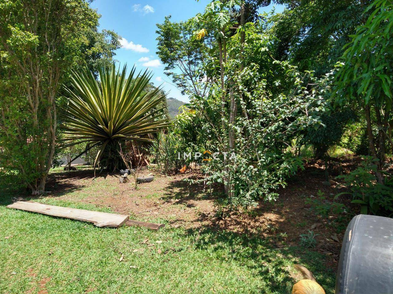 Sítio à venda com 3 quartos, 58000M2 - Foto 118