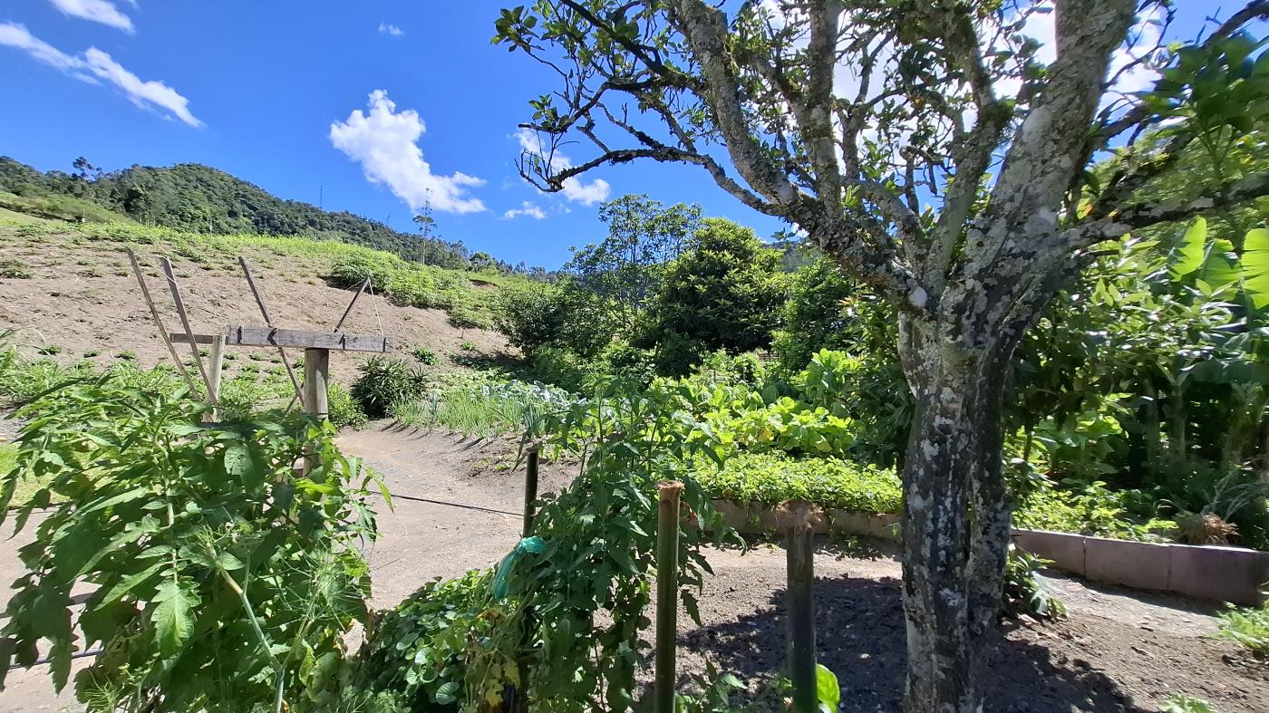 Fazenda à venda com 3 quartos, 20000m² - Foto 25