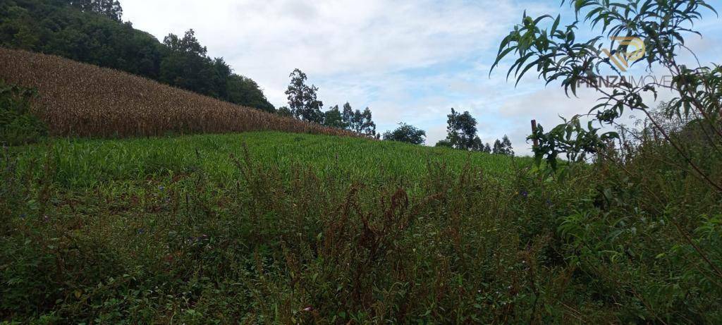 Terreno à venda, 169000M2 - Foto 19