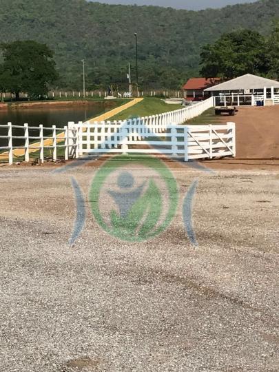 Fazenda-Sítio-Chácara - Foto 25