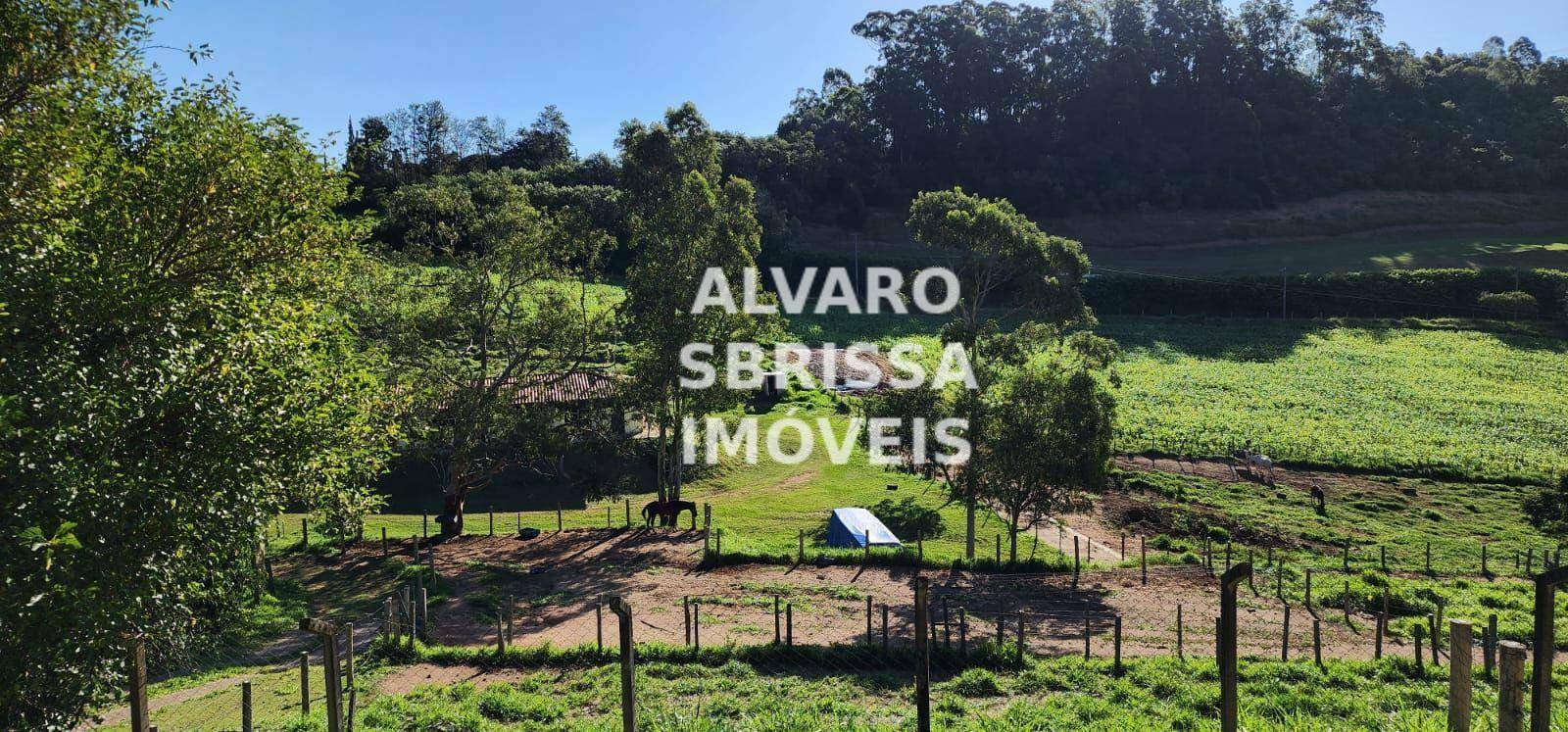 Haras e Área Rural Padrão à venda com 3 quartos, 73000M2 - Foto 4