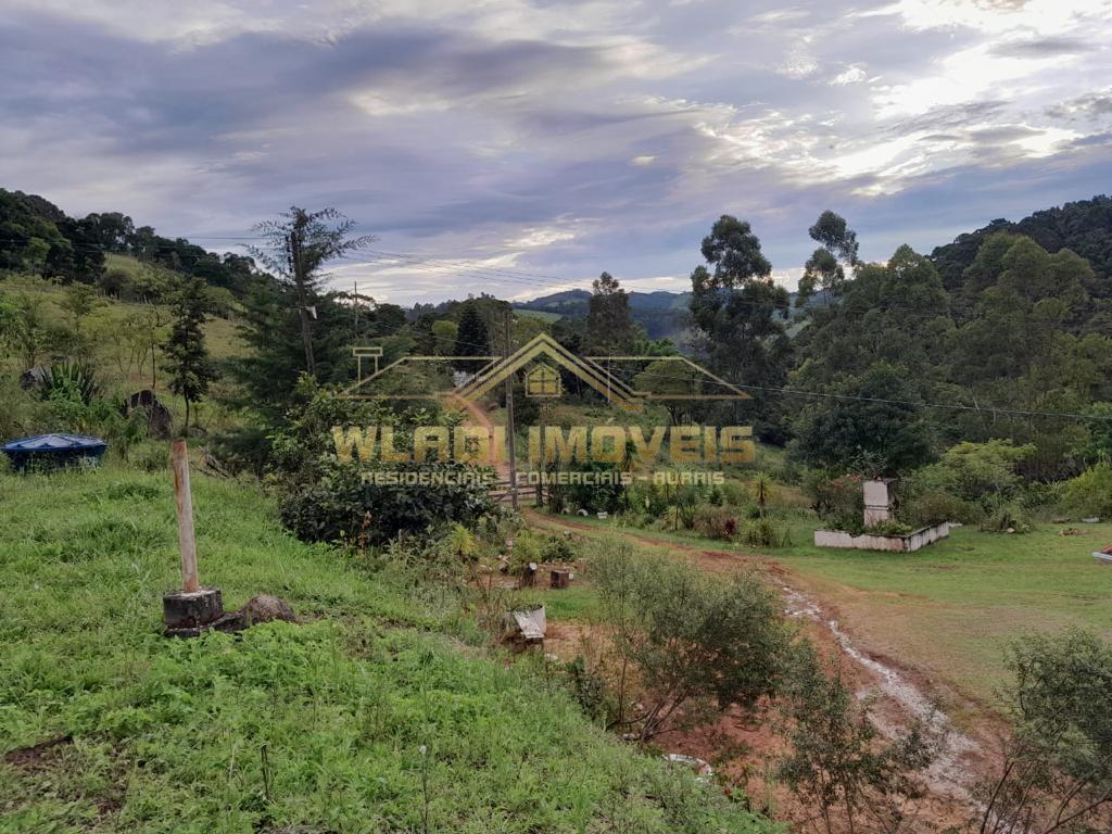 Fazenda à venda com 3 quartos, 34000m² - Foto 16