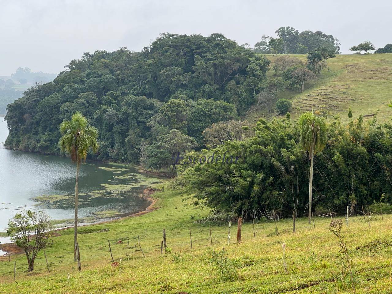 Sítio à venda com 4 quartos, 157300M2 - Foto 16