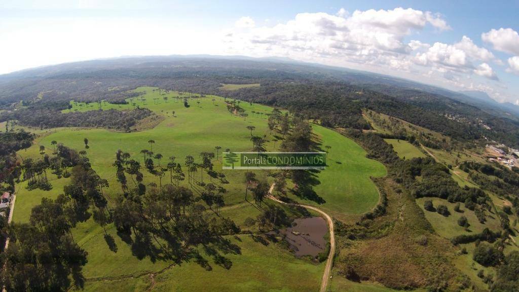 Fazenda à venda com 3 quartos, 1600m² - Foto 8