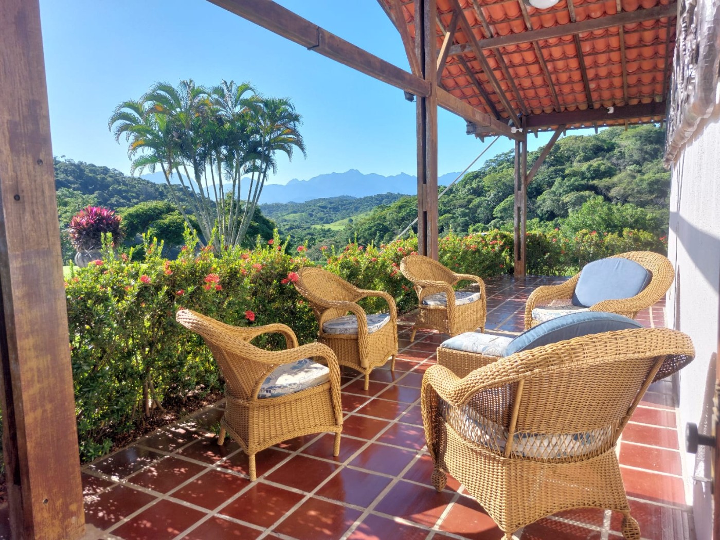 Fazenda à venda com 4 quartos, 34m² - Foto 14