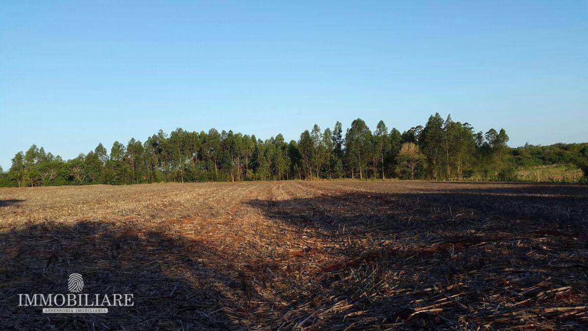 Terreno à venda, 2000000M2 - Foto 3