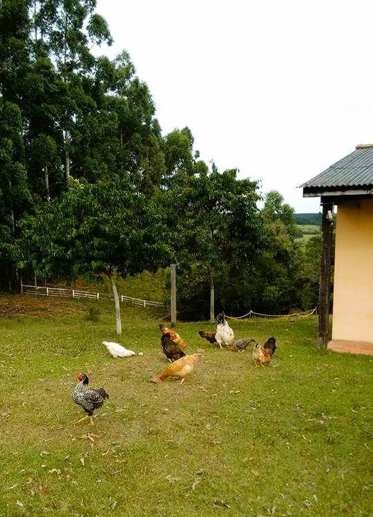 Chácara, 5 m² - Foto 2