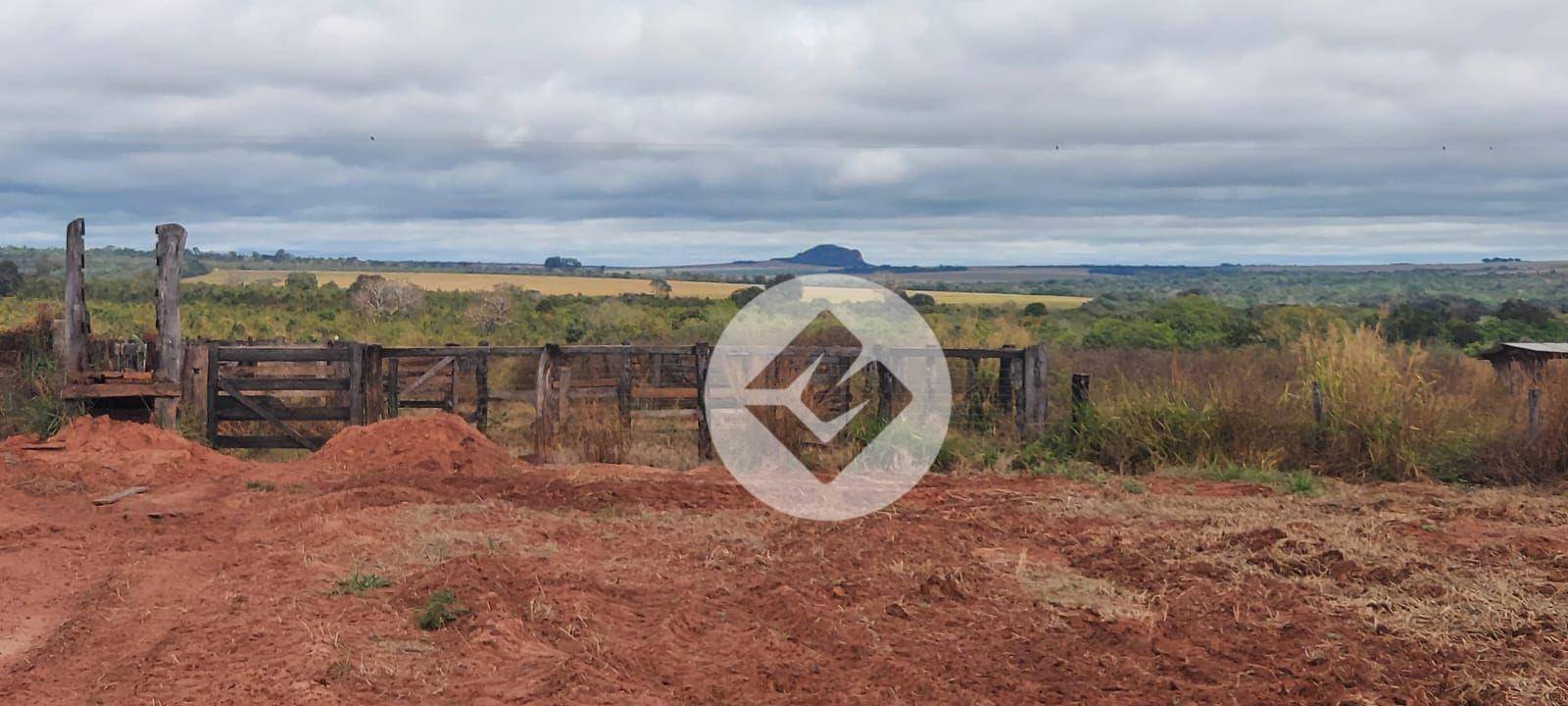 Fazenda à venda, 2500000M2 - Foto 4