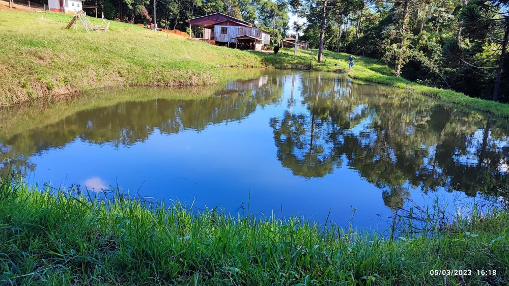 Fazenda à venda com 3 quartos, 17000m² - Foto 19