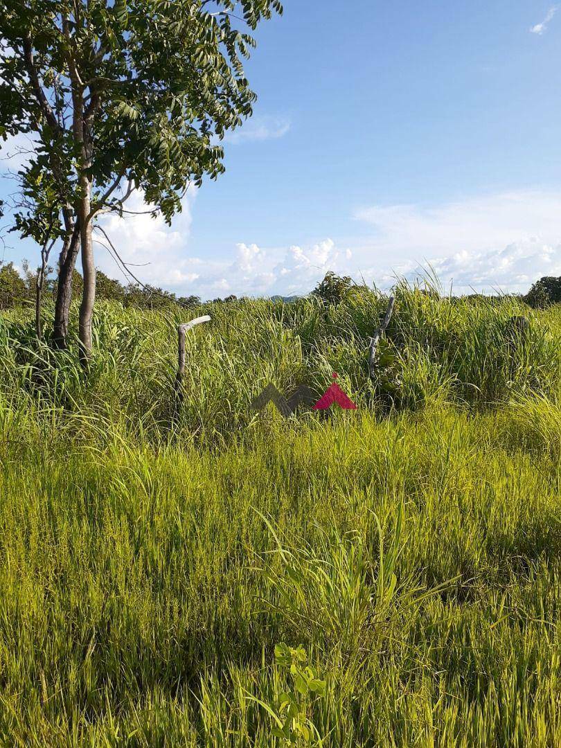 Fazenda à venda com 1 quarto, 43463200M2 - Foto 10