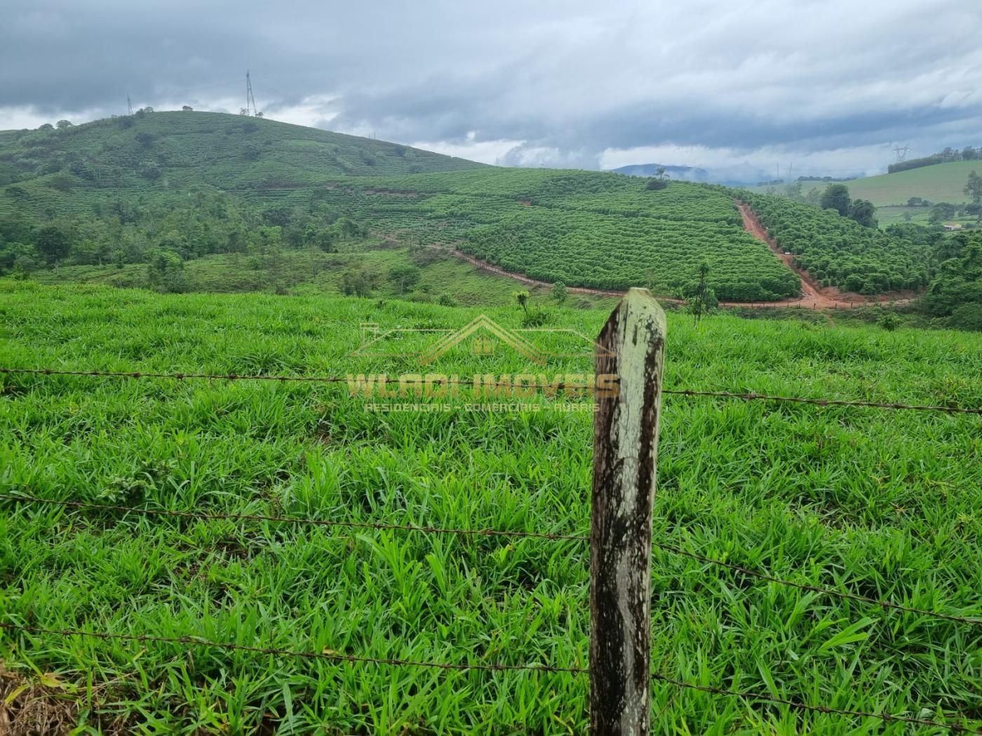 Fazenda à venda, 100m² - Foto 7