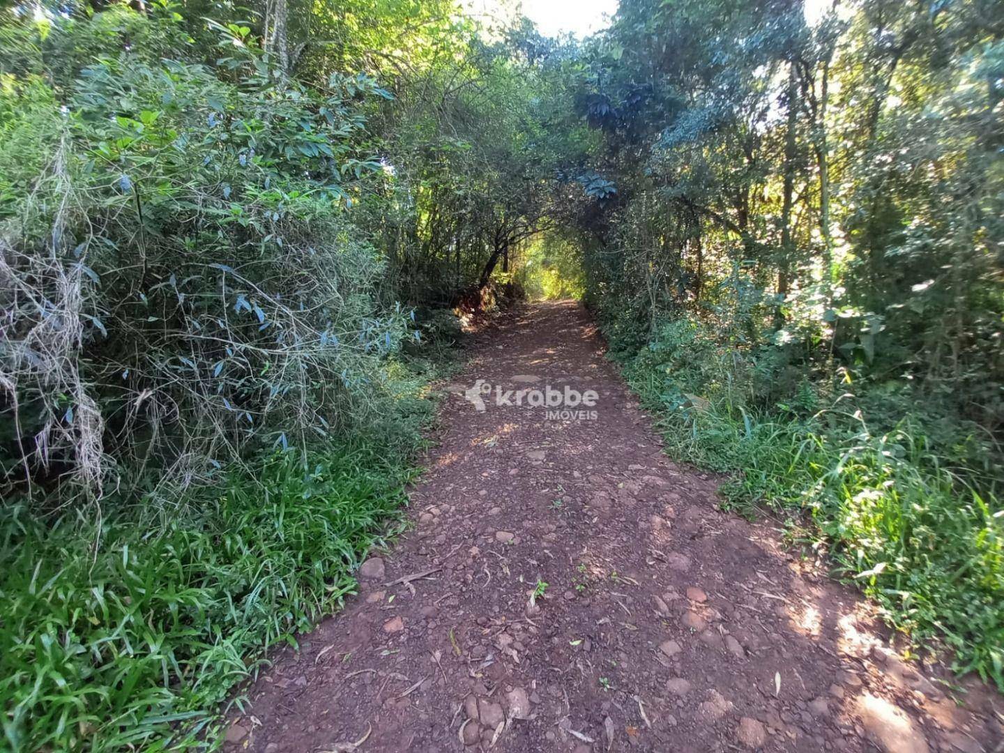 Chácara à venda com 1 quarto, 1m² - Foto 2