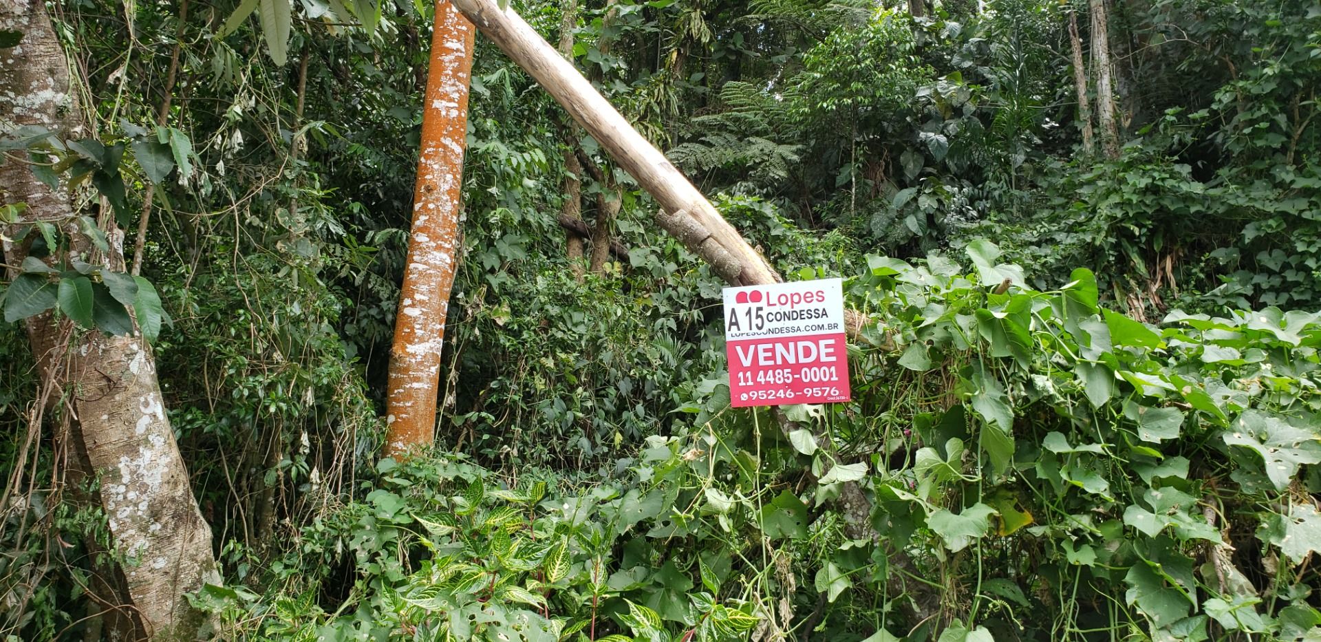 Loteamento e Condomínio à venda, 1020M2 - Foto 7