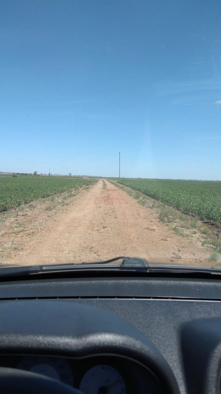 Fazenda-Sítio-Chácara - Foto 1