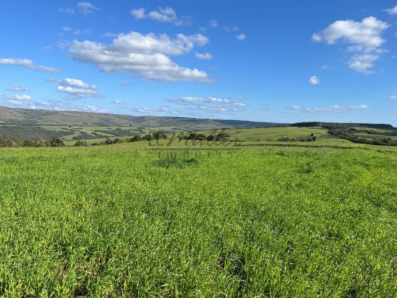 Fazenda à venda, 900m² - Foto 11